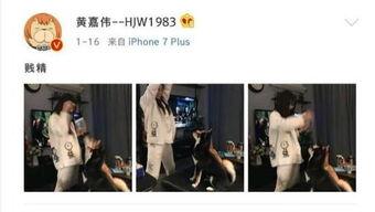 娱乐圈吃瓜爆料二次元,二次元吃瓜爆料大揭秘 第1张 娱乐圈吃瓜爆料二次元,二次元吃瓜爆料大揭秘 第1张